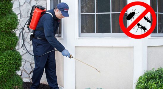 Payas Böcek ve Haşere İlaçlama böcek ilaçlama ve haşere kontrolü — ilaclama-tr.com